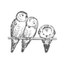Icon for wisehealthynwealthy.com