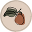 Icon for withinthegrove.com
