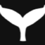 Icon for wittycap.com