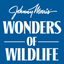 Icon for wondersofwildlife.org