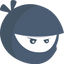 Icon for wpmanageninja.com