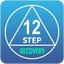 Icon for www.12steprecovery.co.za