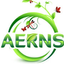 Icon for www.aerns.com