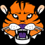 Icon for www.allclemsontigers.com