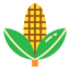 Icon for www.asiafarming.com