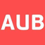 Icon for www.aubearing.com
