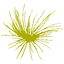Icon for www.autismontario.com