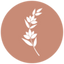 Icon for www.azjuniper.com