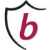 Icon for www.baronpayroll.com