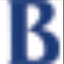 Icon for www.baruch.cuny.edu