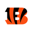 Icon for www.bengals.com