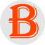 Icon for www.biharsarkarinaukri.com