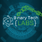Icon for www.binarytechlabs.com