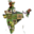 Icon for www.bioatlasindia.org