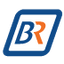 Icon for www.bluerhine.store