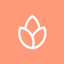 Icon for www.bonfire.com
