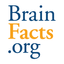 Icon for www.brainfacts.org