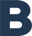 Icon for www.brandignity.com