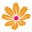Icon for www.bulkwildflowers.com
