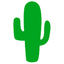 Icon for www.cactuspcaz.com