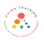 Icon for www.cairntraining.com