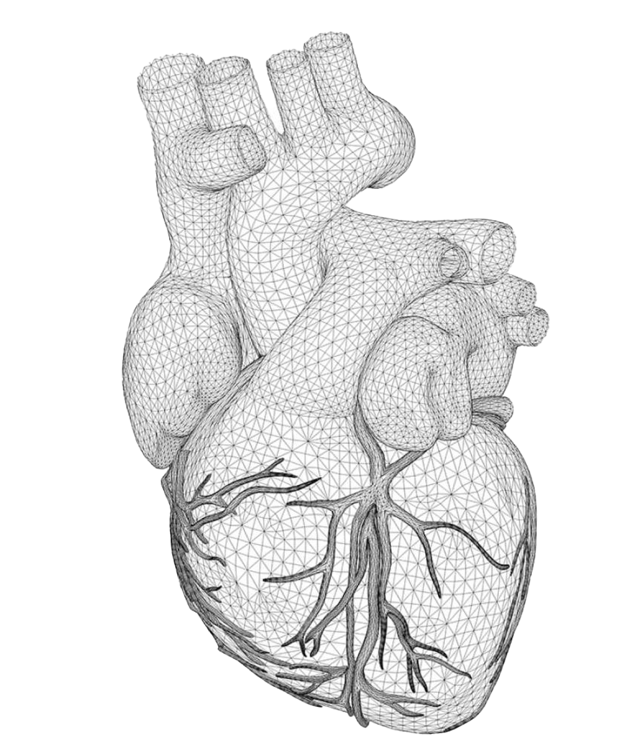 Icon for www.cardiodb.org