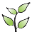 Icon for www.carrolladvisory.com