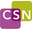 Icon for www.childrenssafetynetwork.org