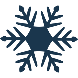 Icon for www.christysports.com