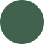 Icon for www.cmhsct.com