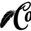 Icon for www.comancheroofing.com