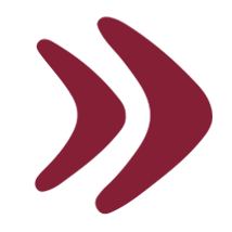 Icon for www.companiesnext.com