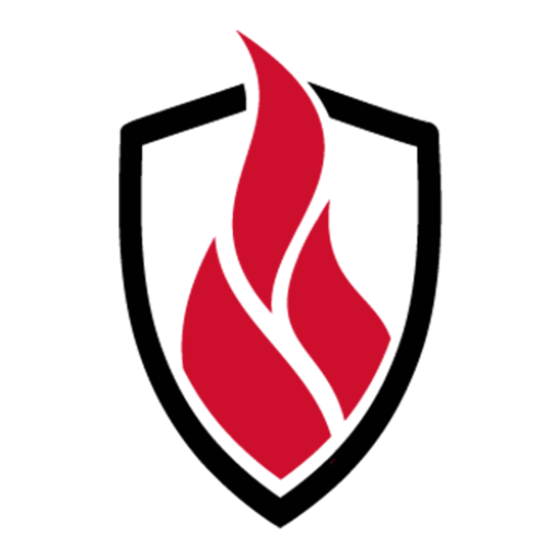 Icon for www.confires.com