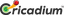 Icon for www.cricadium.com