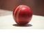 Icon for www.cricscore.org