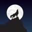 Icon for www.cvwo.org