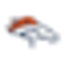 Icon for www.denverbroncos.com