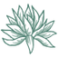 Icon for www.desertscapeaz.com