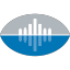Icon for www.detroitfootball.net