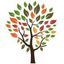Icon for www.drshier.com