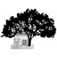 Icon for www.eastvillagemagazine.org