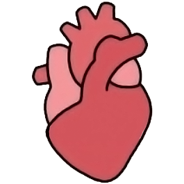 Icon for www.ecgessentials.com