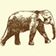 Icon for www.elephanthills.com