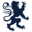 Icon for www.eliterooter.com