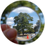 Icon for www.engagingsciencelabs.com