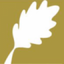 Icon for www.ewsacademy.org.uk