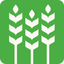 Icon for www.farmafrica.org