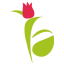 Icon for www.floweraura.com