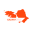Icon for www.galwaydaily.com