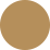 Icon for www.gob.mx